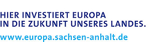 EU/Sachsen-Anhalt Investment-Schriftzug (EFRE-Farben)