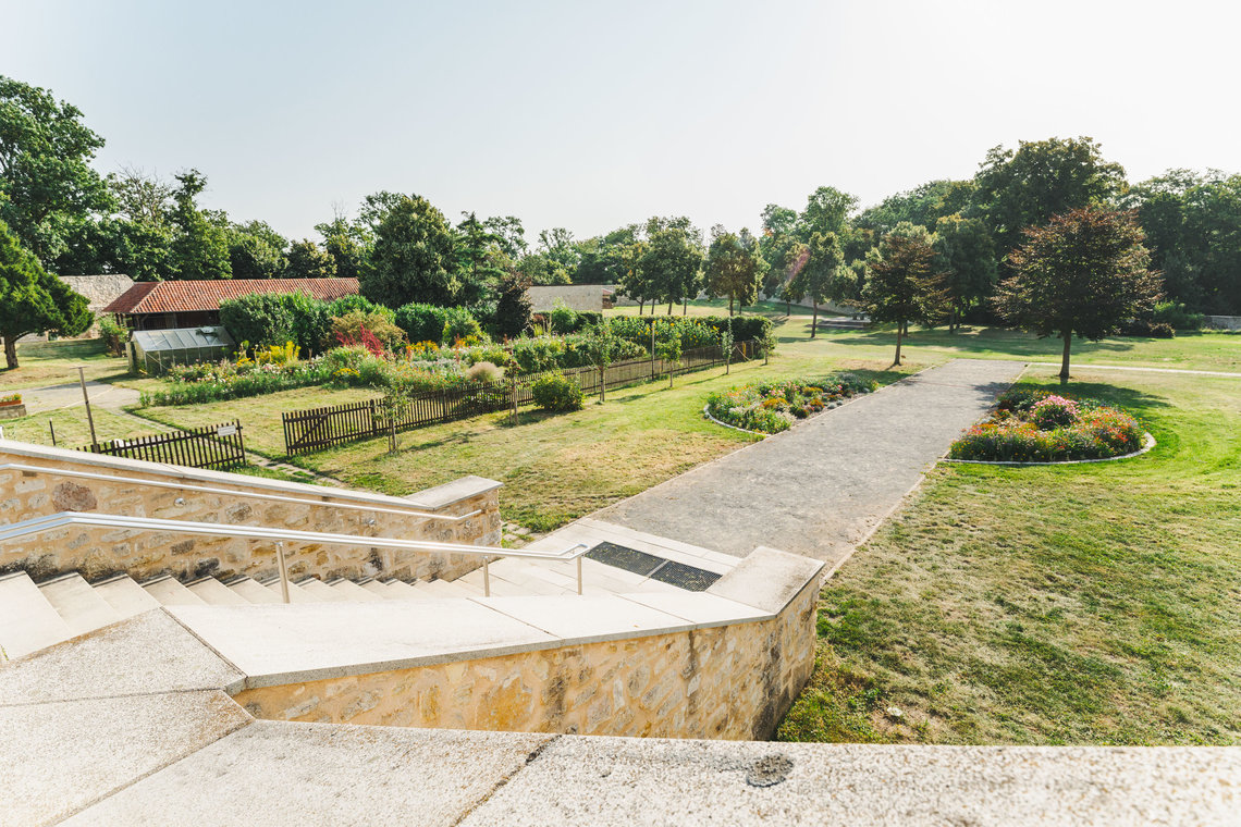 Eine Treppe und ein befestigter Weg im Garten der Huysburg